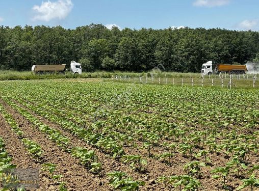  VAR'DAN SARAY PAZARCIK MAH. 15 DÖNÜM YATIRIMA BİREBİR TARLA