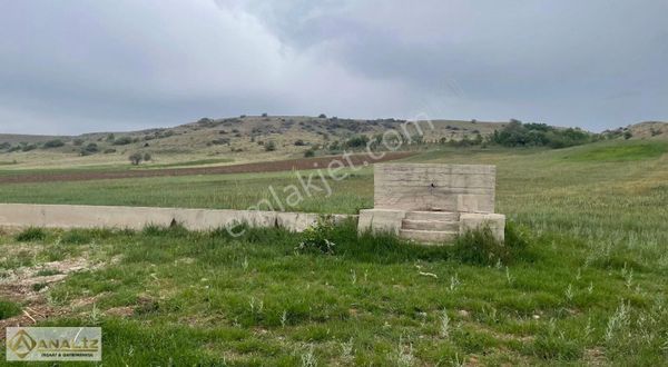 ANALİZ'den Güneydere Köyünde Yatırımlık 9.316m2 Müstakil Parsel