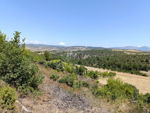  acil satılık tarla şehir merkezine 10 kilometre 