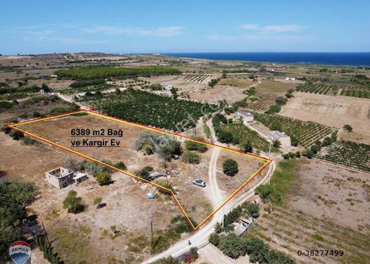 AMERİKAN ÇEŞME MEVKİ YOL DİBİ SATILIK 6400 M2 BAĞ VE KARGİR EV !