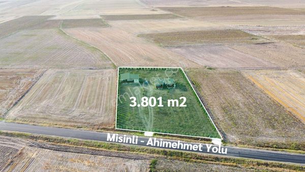  ERGENE MİSİNLİ MAH. YOLA CEPHE SATILIK 3.801 m2 MEYVE BAHÇESİ