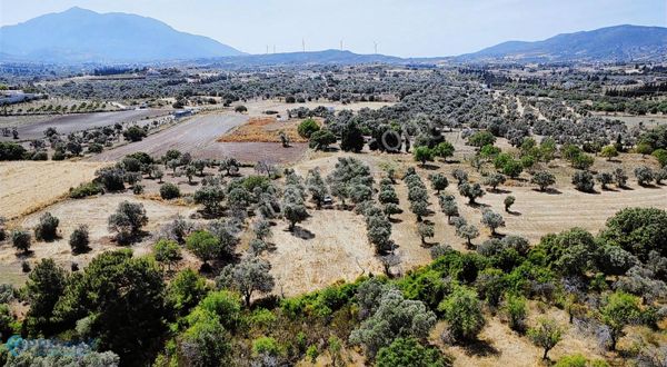 PREMAR DATÇA KIZLAN'da 2600m2 DENİZE YAKIN TARLA