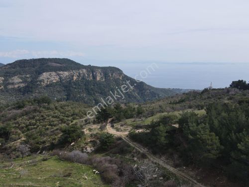 Çanakkale Ayvacık Ahmetçe Köyünde Denize Manzaralı Arsa Yol Su Elektrik Önünde Başaran Emlak Tan