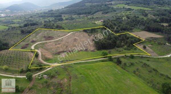 TEŞVİKİYEDE 13.500M2 D650 KARAYOLUNA VE YERLEŞİME YAKIN MESAFEDE