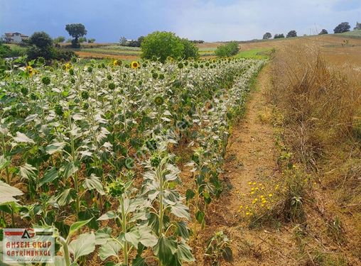 ÖRENTEPE'DE YERLEŞİM YERİ İÇERİSİNDE 2.088 M2 SATILIK ARSA!!!