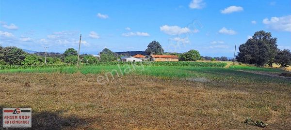 IŞIKLAR'DA ASFALT YOLA CEPHE DOĞA MANZARALI 1323 M2 SATILIK ARSA