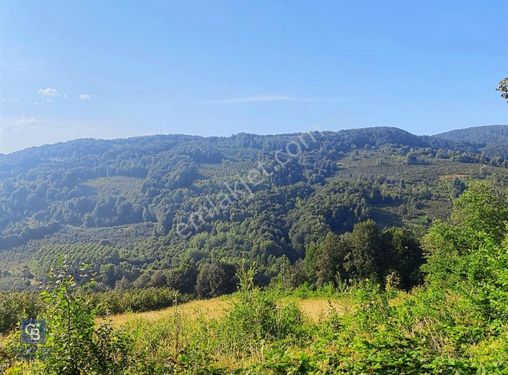 CB EVA dan Hendek Karadere Mah Aksu Yolu Mevkiinde Satılık Arazi