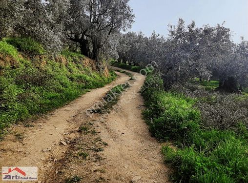 MUDANYA TIRILYE MERKEZE 5 DK mesafede MUSTAKIL TAPU