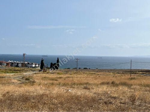 ŞARKÖY İMARLI İFRAZLI ARSALARIMIZ DENİZ VE DOĞA MANZARALI SATILIK 