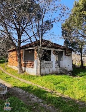 Manisa Turgutlu'da Satilik Üzüm Bağı Ve Zeytin Ağaç'lı Tarla