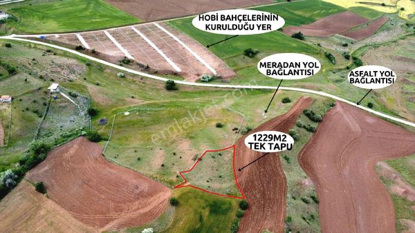 SİNCAN TEMELLİYE ÇOK YAKIN KONUM POLATLI MACUN KÖYİÇİ 1229M2 TEK TAPU MÜSTAKİL (EV YAPIMINA UYGUN)