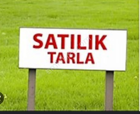  Antalya Manavgat Demirciler'de Satılık Tek Tapu Tarla