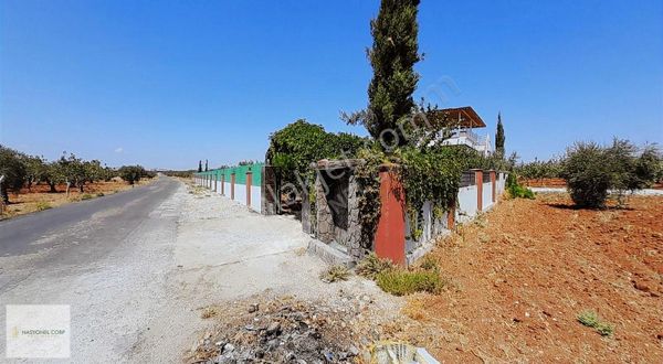 SU ARITMA YOLUNDA ASFALT ÜSTÜ SATILIK ÖZEL YAPIM BAĞ EVİ