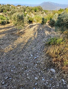 TORBALI DAĞKIZILCA KÖYÜ SATILIK TARLA