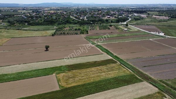  ÇANAKKALE HALİLELİ 'NDE SATILIK YATIRIMLIK TARLA