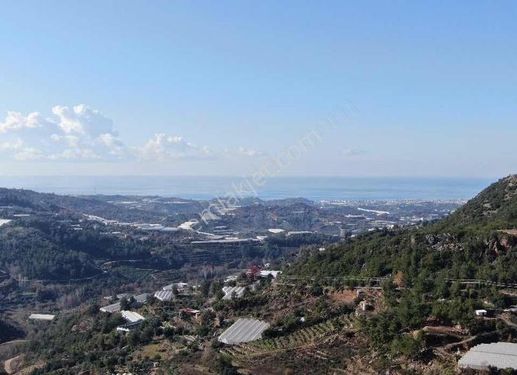 Alanya Hacıkerimler Mah. Satılık 1.127 m2 Masrafsız Kupon Tarla