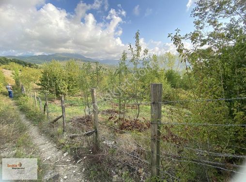 Kastamonu Cide Bağyurdu Hastanenin Üstün De Arsa