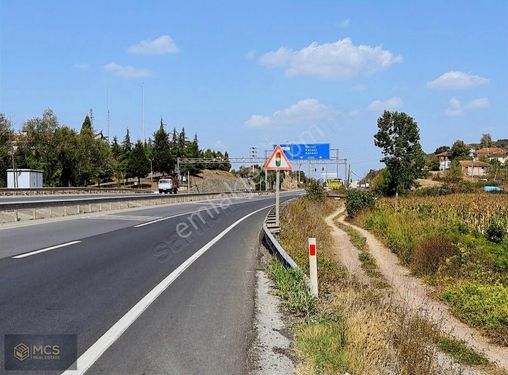 KARASU YOLUNA 100 METRE MESAFEDE SATILIK 4530 METREKARE KAVAKLIK