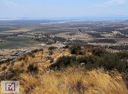 Foça Mavi Gayrimenkul'den satılık arsa