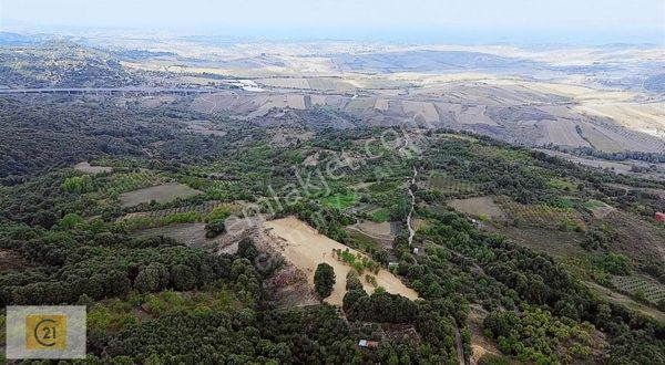 Dereköy'de Muhteşem Deniz Ve Doğa Manzaralı Çiftliğe Uygun Tarla