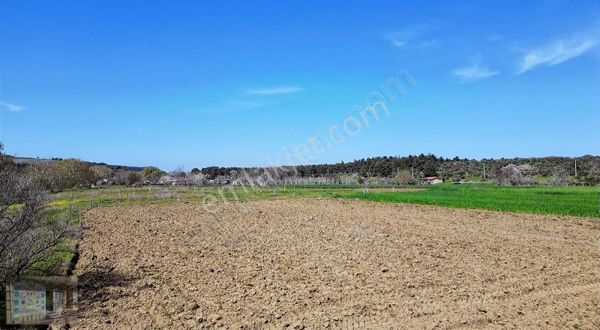 ÇANAKKALE DÜMREK KÖYÜ SATILIK TARLA