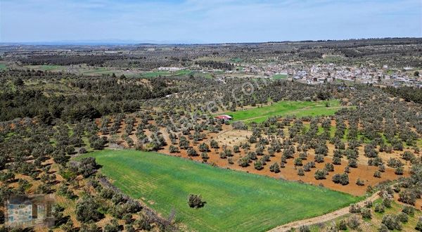 ÇANAKKALE MERKEZ DÜMREK MAZARALI TARLA SATILIK