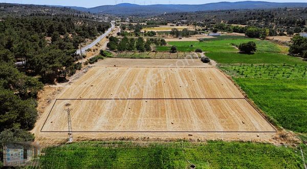 Çanakkale Dümrek köyünde ana yol üzeri tarla elektrik su mevcut