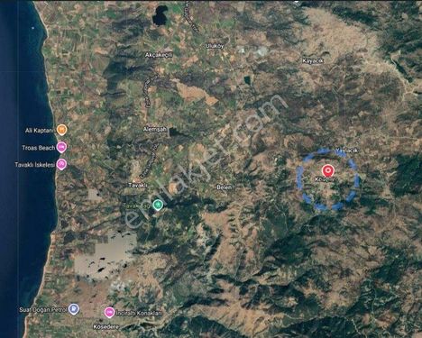    Çanakkale Ezine Köseler Köyü'nde 540 m2 Arsa içinde 165 m2 2+1 Taş Ev