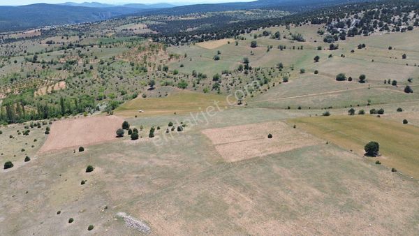  KONYA / AKÖREN / BELKUYU 4.291 m² TEK TAPU TARLA