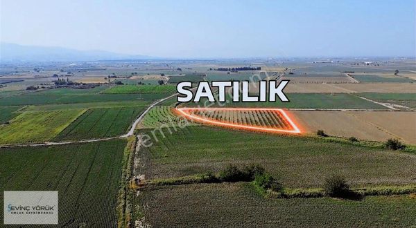 SATILIK ARSA,TARLA,BAĞ,ERİK BAHÇESİ,İMARA YAKIN TEKTAPU