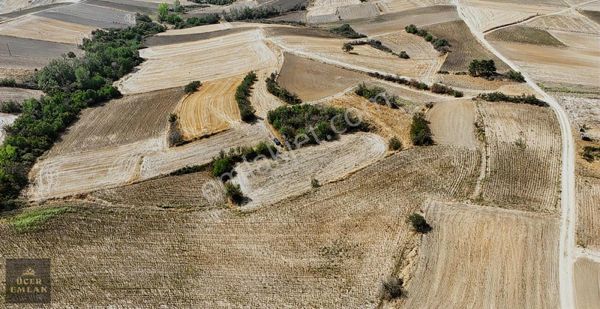 Kırklareli Babaeski Terzili Köyünde 2650m2 Satılık Tek Tapu Araz