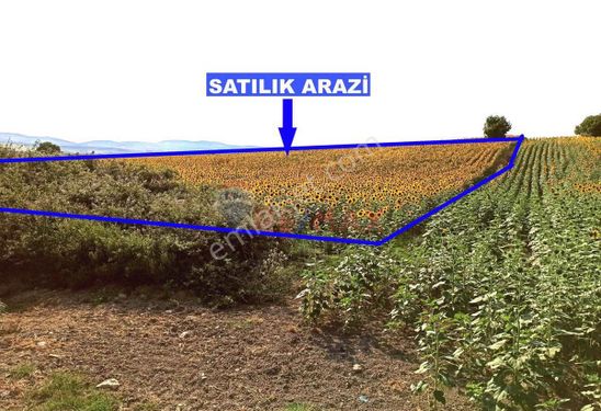 Çatalca’da Hesaplı Fiyata Müstakil Parsel