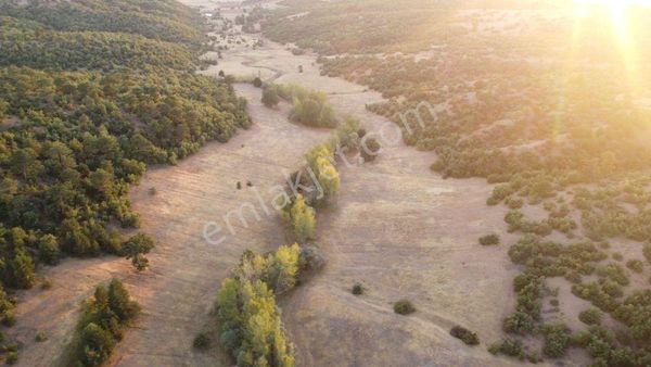  KONYA / ILGIN / BELEKLER'DE ORMANA CEPHE MÜSTAKİL 2.096 m² TARLA    