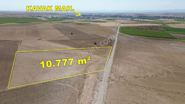  KONYA / MERAM / KAVAK'DA 10.777 m² MÜSTAKİL TAPU TARLA