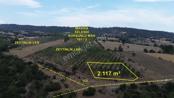  ZEYTİNLİK MANİSA SELENDİ KURŞUNLU MAH. 2.117 M2 MÜSTAKİL TAPULU