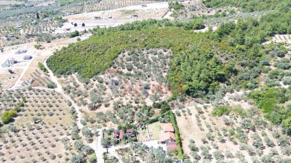 İçinde Kaynak Suyu, Orman Manzaralı, Cennet Köşesi Tarla