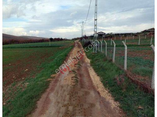  BALIKESİR  GÖNEN BAĞLI KOCAPINAR KÖYÜNDE ACİLEN SATILIK TARLA 13750m2DİR.