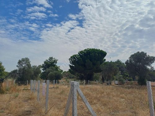  ELEKTRİK SU YOL KÖK HİSSELİ TAPUDAN SATIŞLI KÜNER MENDERES İZMİR