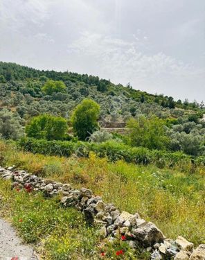 Milas'ın En Güzel Köylerinden Biri Olan Karacahisar'da Satılık Tarla