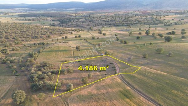  AKÖREN HACILAR DA 4.186 M2 MÜSTAKİL TAPULU TARLA