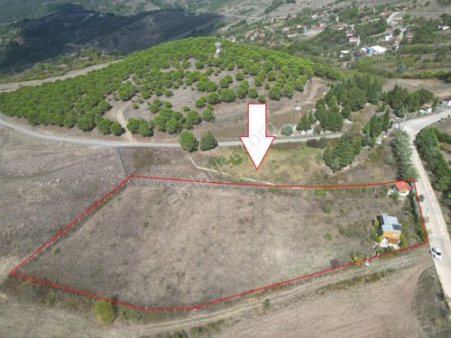  KOCAELİ KARAMÜRSEL FULACIK SATILIK 4985 M2 TARLA