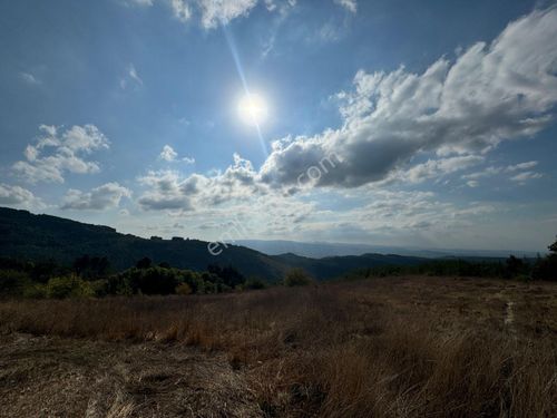  BURSA MUSTAFAKEMALPAŞA YENİKIZILELMA KÖYÜ 4.100 m2 SATILIK TARLA