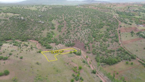  GÜNEYSINIR GÜRAĞAÇDA 2.457 M2 MÜSTAKİL TAPULU BAĞ