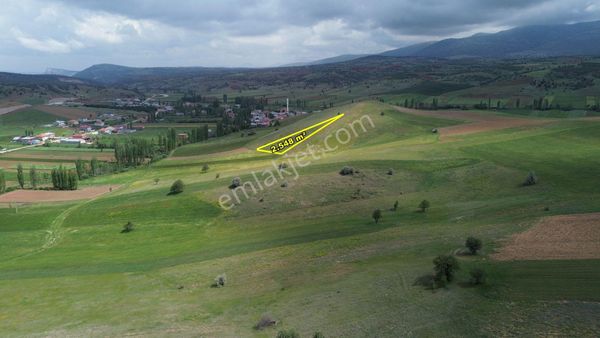  GÜNEYSINIR KAYAAĞZINDA 2.548 M2 MÜSTAKİL TAPULU TARLA