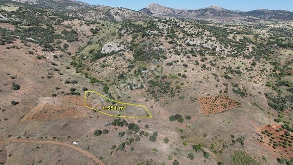  GÜNEYSINIR GÜRAĞAÇ DA 1.551 M2 MÜSTAKİL TAPULU BAĞ