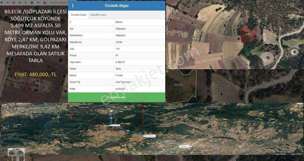 BİLECİK AKADEMİ EMLAK DANIŞMANLIĞI`NDAN ORMAN YOLU OLAN ASFALTA 50 METRE MESAFADA SATILIK TARLA