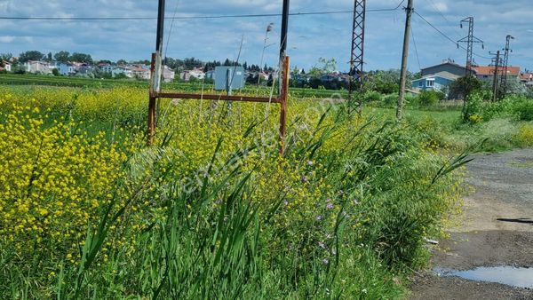  TEKİRADAĞ MARMARA EREĞLİSİ ÇEŞMELİ 287m2 ACİL SATILIK SÜPER KONUM VE MANZARALI ARSA