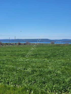  ÇANAKKALE ÖZBEK BURSA YOLUNDA EŞSİZ DOĞA MANZARALI SATILIK TARLA