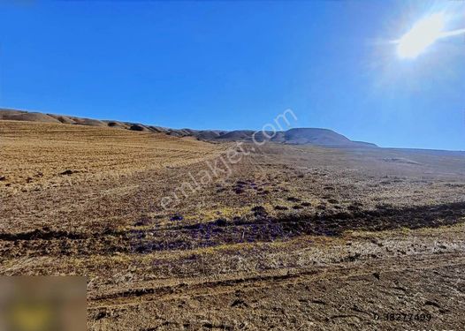 NİĞDE OTOBAN SINIRI FIRSAT SATILIK ARSA