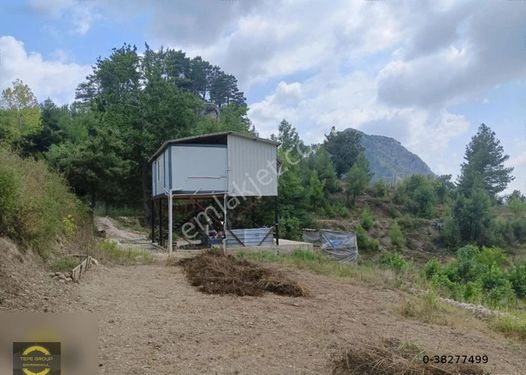 ANTALYA SERİK BOZDOĞAN'DA TEK TAPU SATILIK 2 KATLI EV VE TARLA